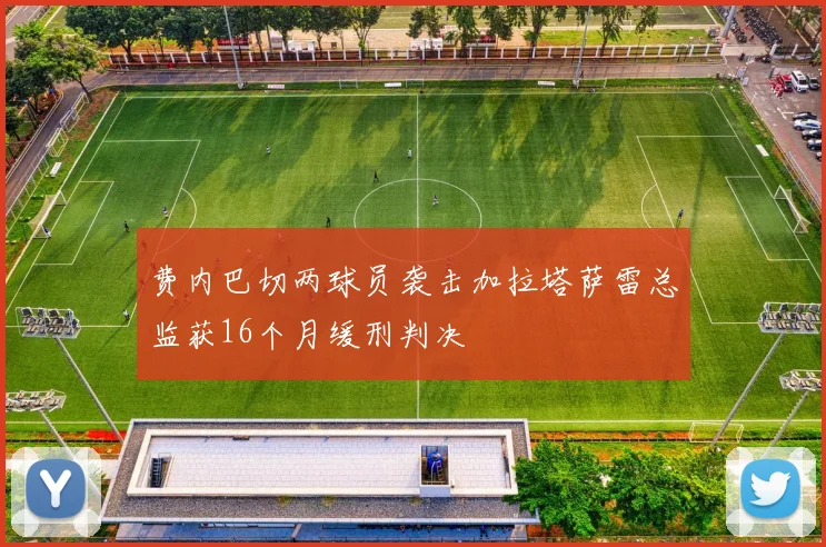 费内巴切两球员袭击加拉塔萨雷总监获16个月缓刑判决